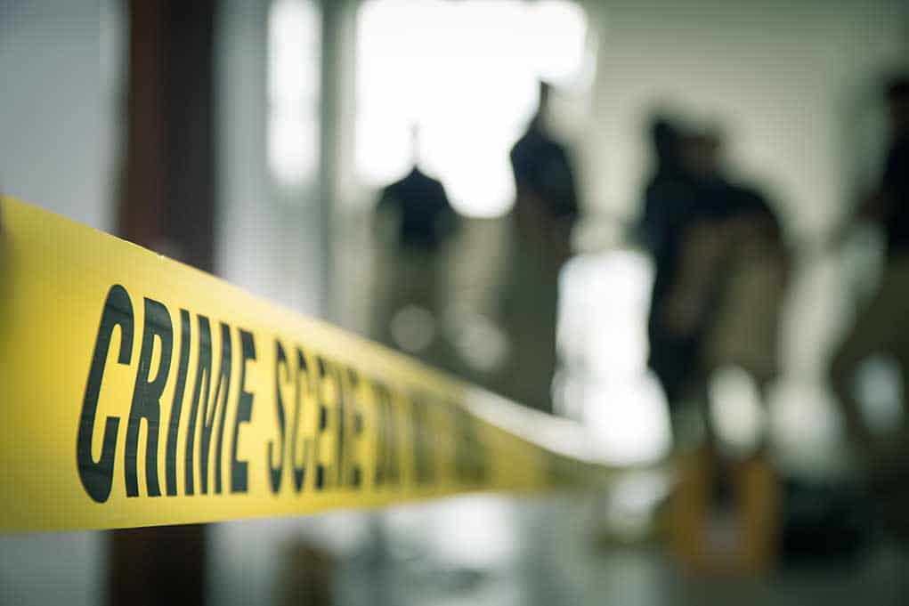 Adult Film Star Decapitated Couple, Then Kept Heads in Freezer