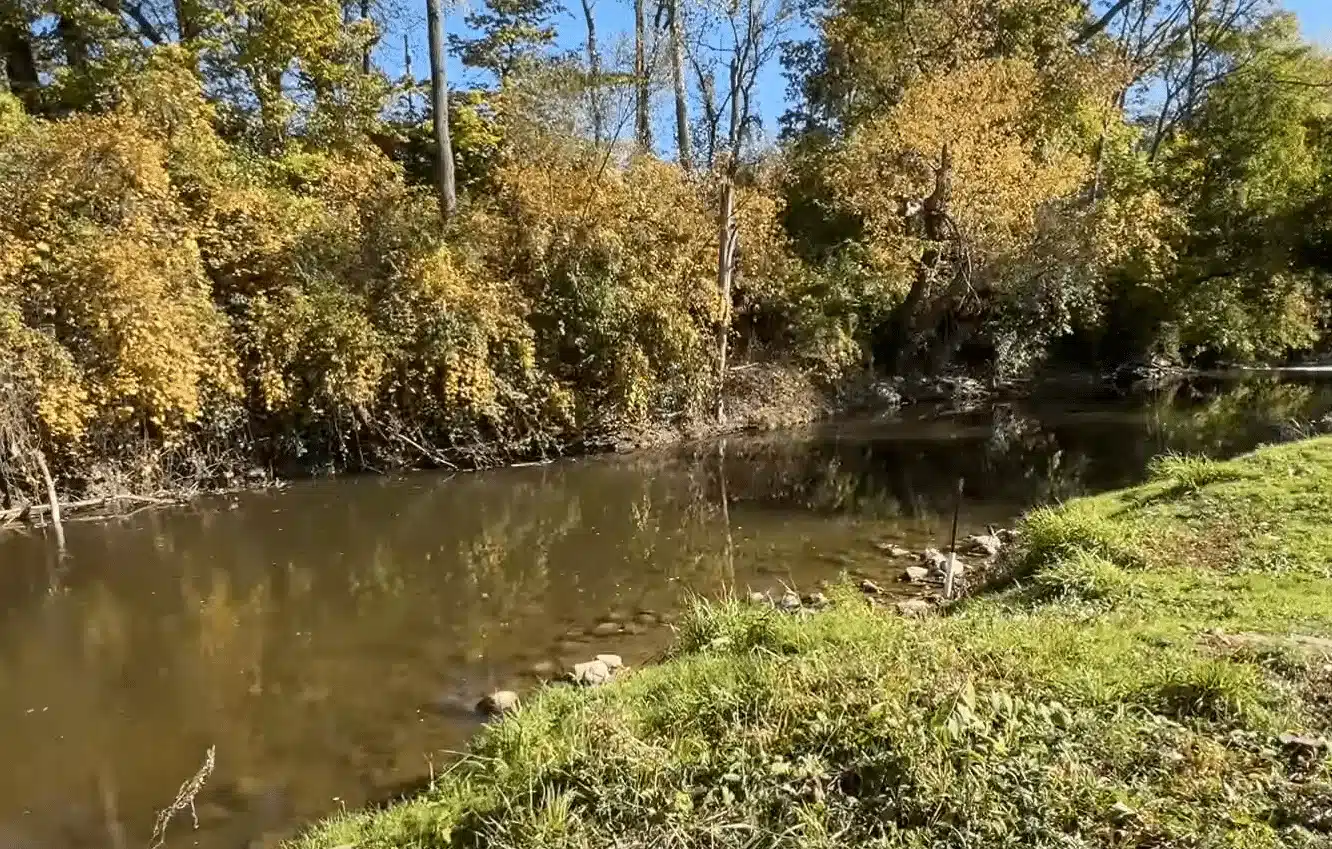 Unidentified Decomposed Body Found in Rouge River Sparks Community Shock in Wayne, Michigan