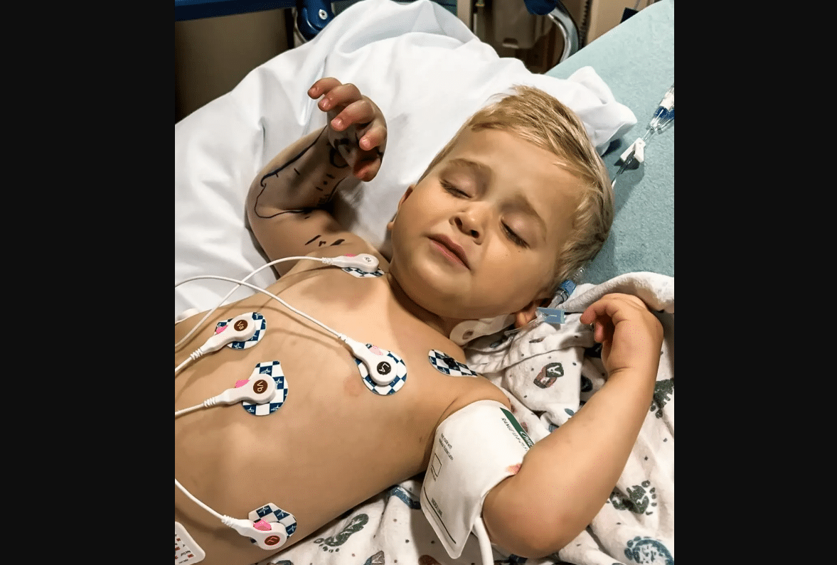 Toddler’s Rattlesnake Bite Leads to $300K Bill