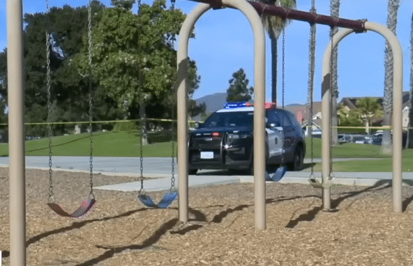 Man Fatally Attacked by His Own Dogs at Local Playground