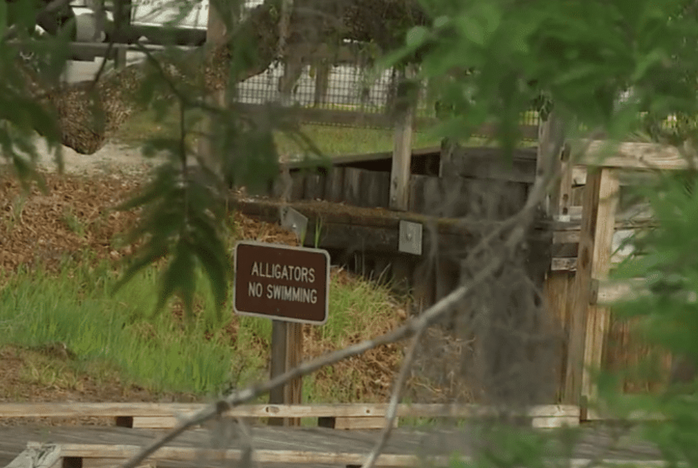 Woman Fatally Attacked by Alligator in Lake