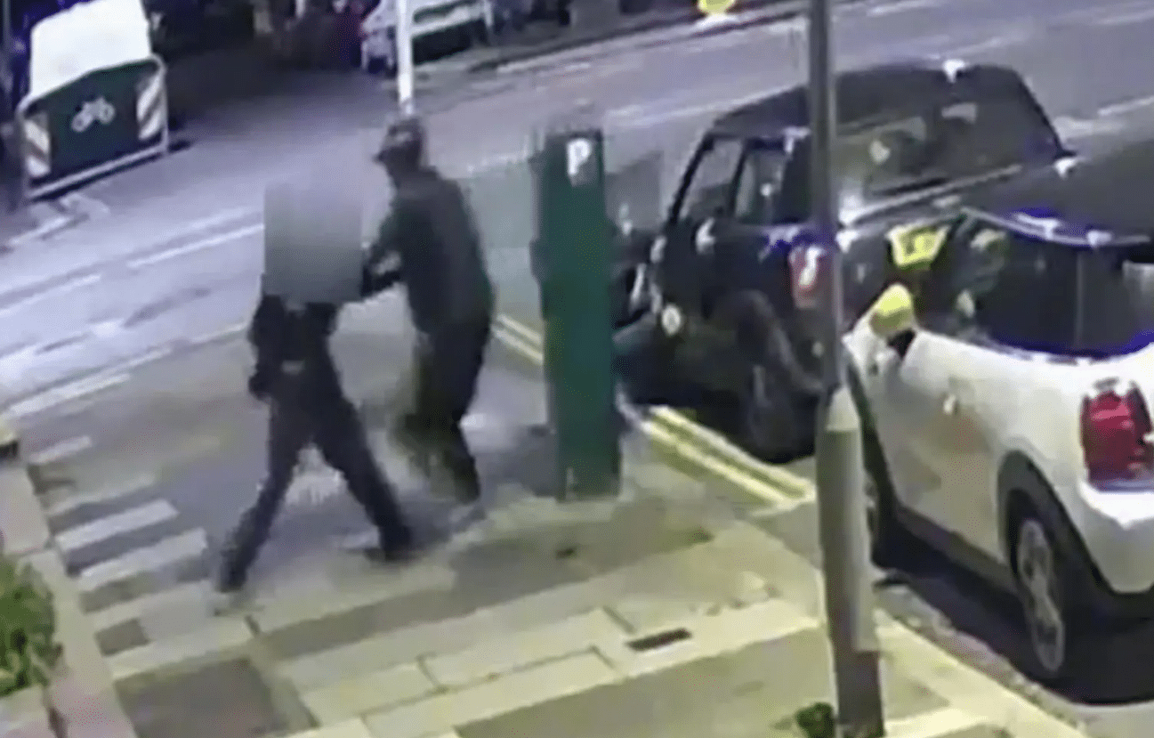 Young Woman Fights Off Kidnapper in Street