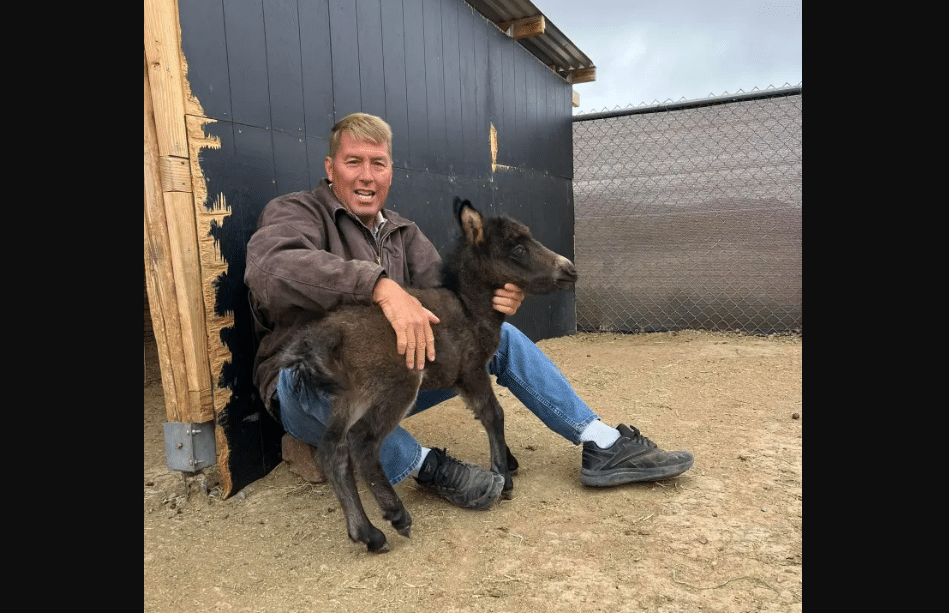 Cause of Death Revealed for Local Vet Found Dead in Lake