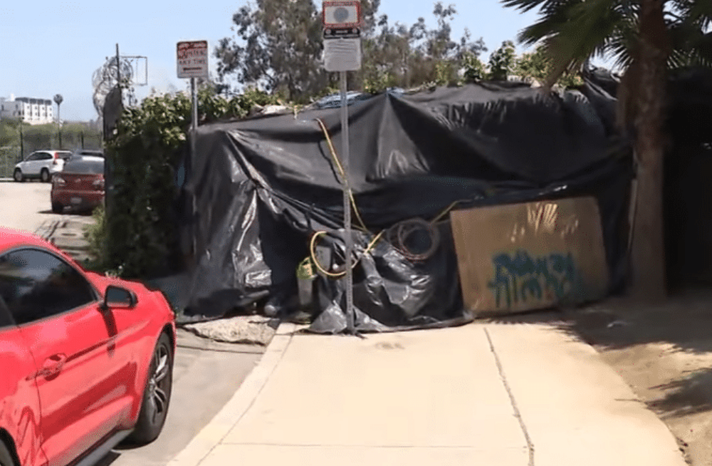 Two People Found Dead, Being Eaten by Dogs in Homeless Encampment