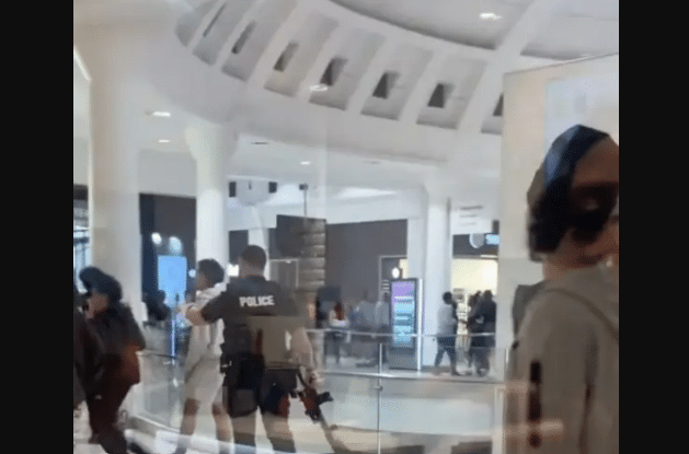 Huge Brawl Breaks Out at Mall