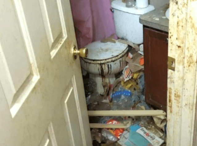 Children Found Sleeping on Pizza Boxes in Feces Filled Home