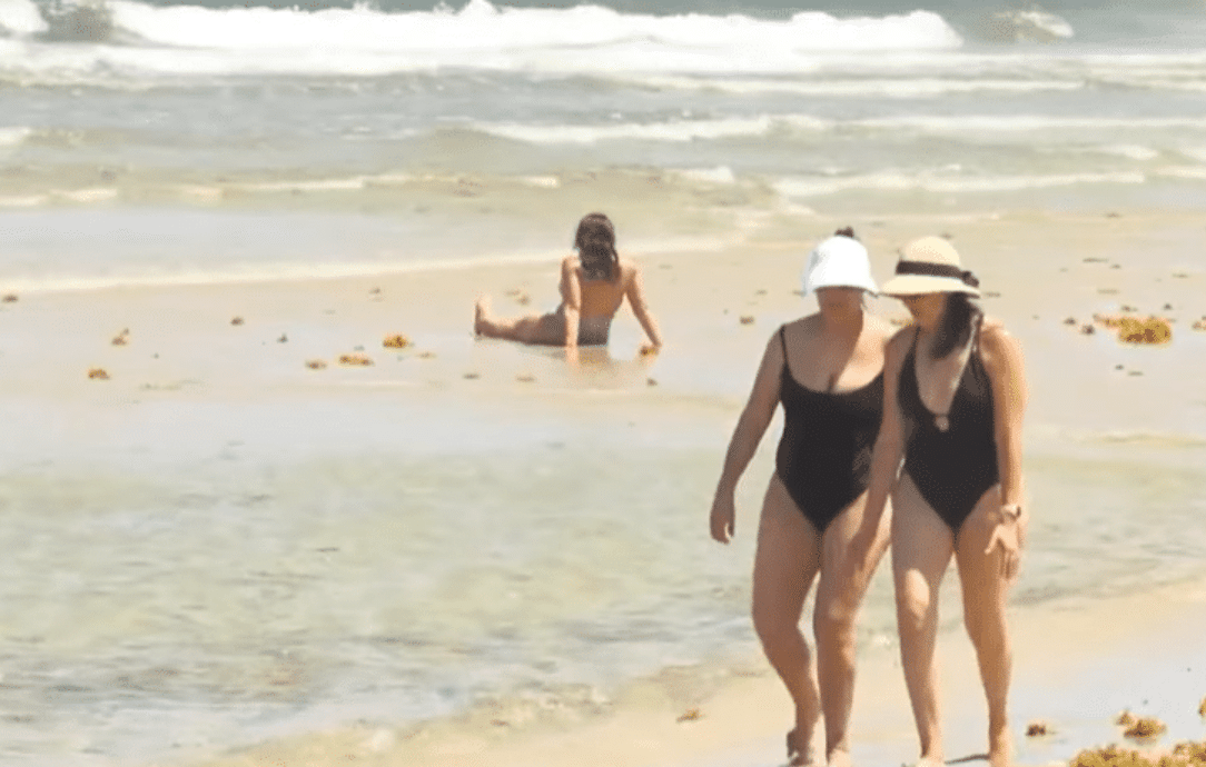 Unidentified Sea Creature Bites Woman at Beach