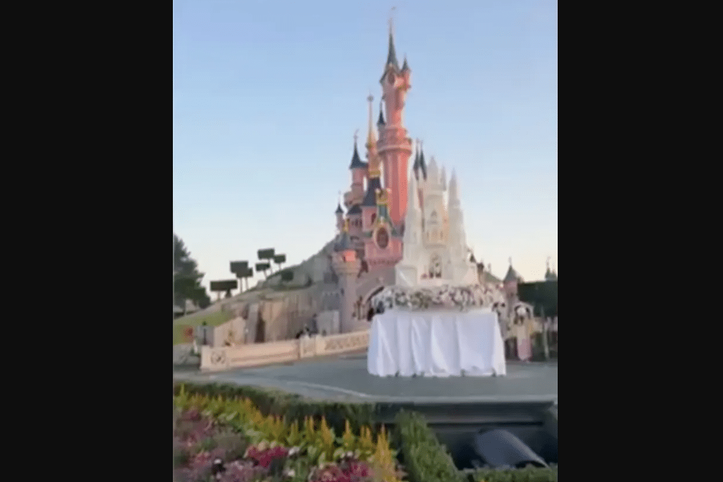Disneyland Booked for Sick 'Wedding' Between Adult and 9-Year-Old