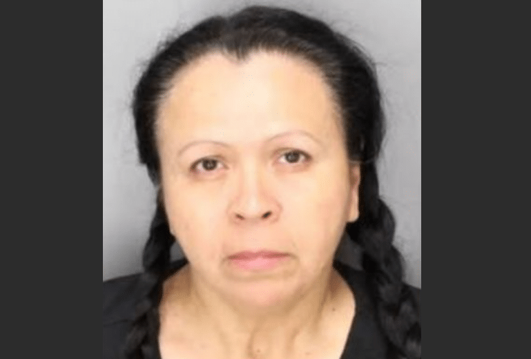 3-Year-Old Boy Killed by Woman at Fireworks Show