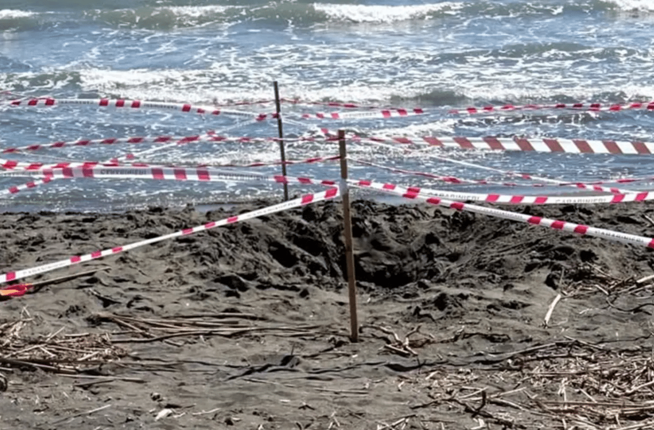 Tragic Beach Incident Claims Teen's Life
