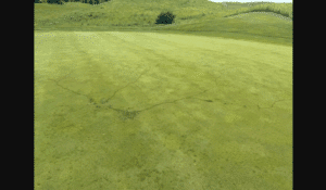 Young Golfer Killed by Lightning