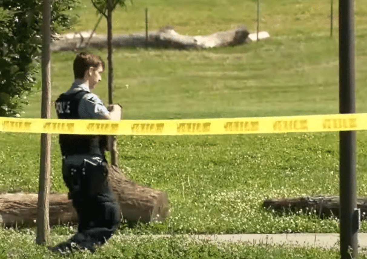 Teen Arrested for Fatal Shooting of 11-Year-Old