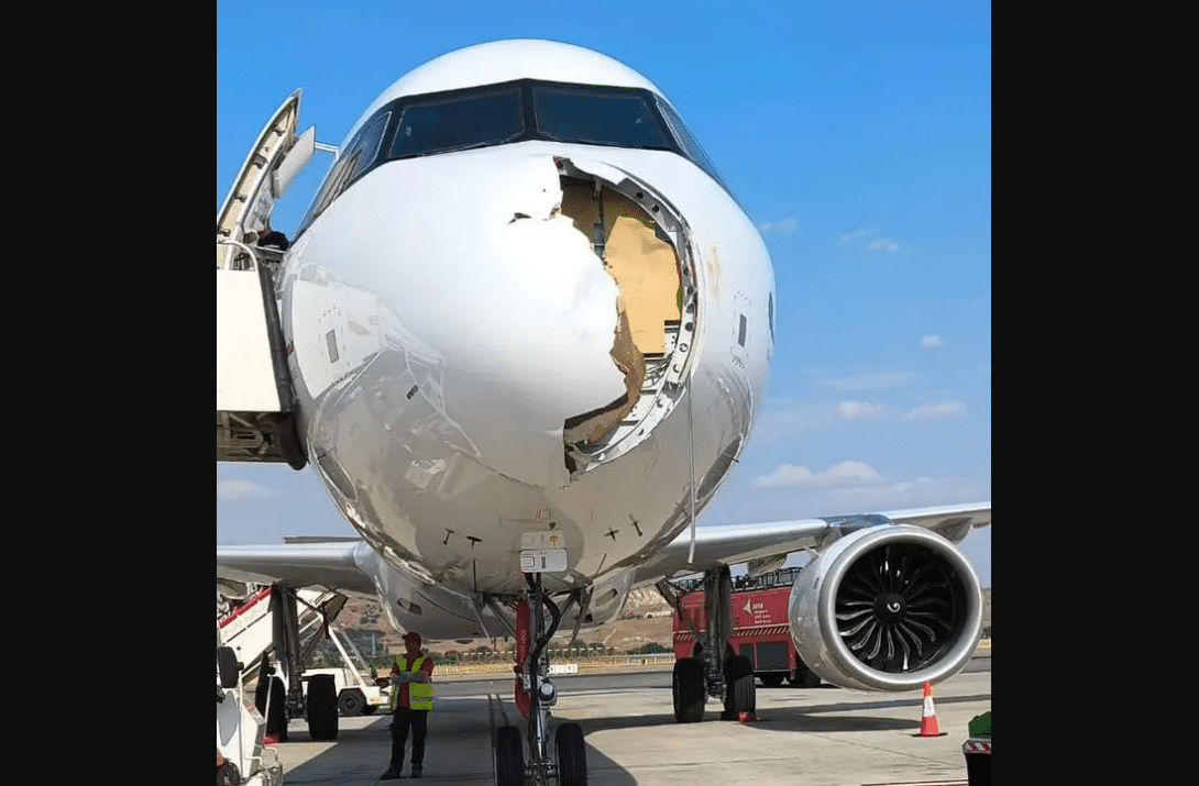Emergency Landing After Bird Strike on Flight