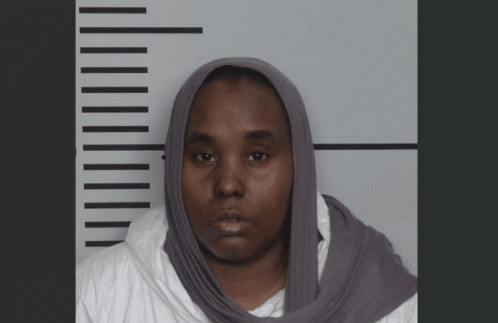 Mother Indicted for Alleged Hammer Attack on Young Daughter