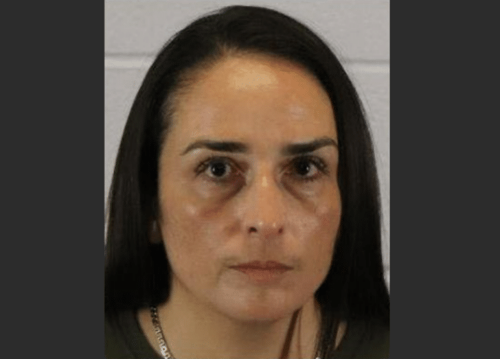 Woman Arrested at Airport Trying to Kidnap 2 Young Kids