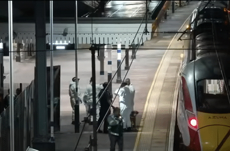 Mass Stabbing on Train Leaves 11 Injured