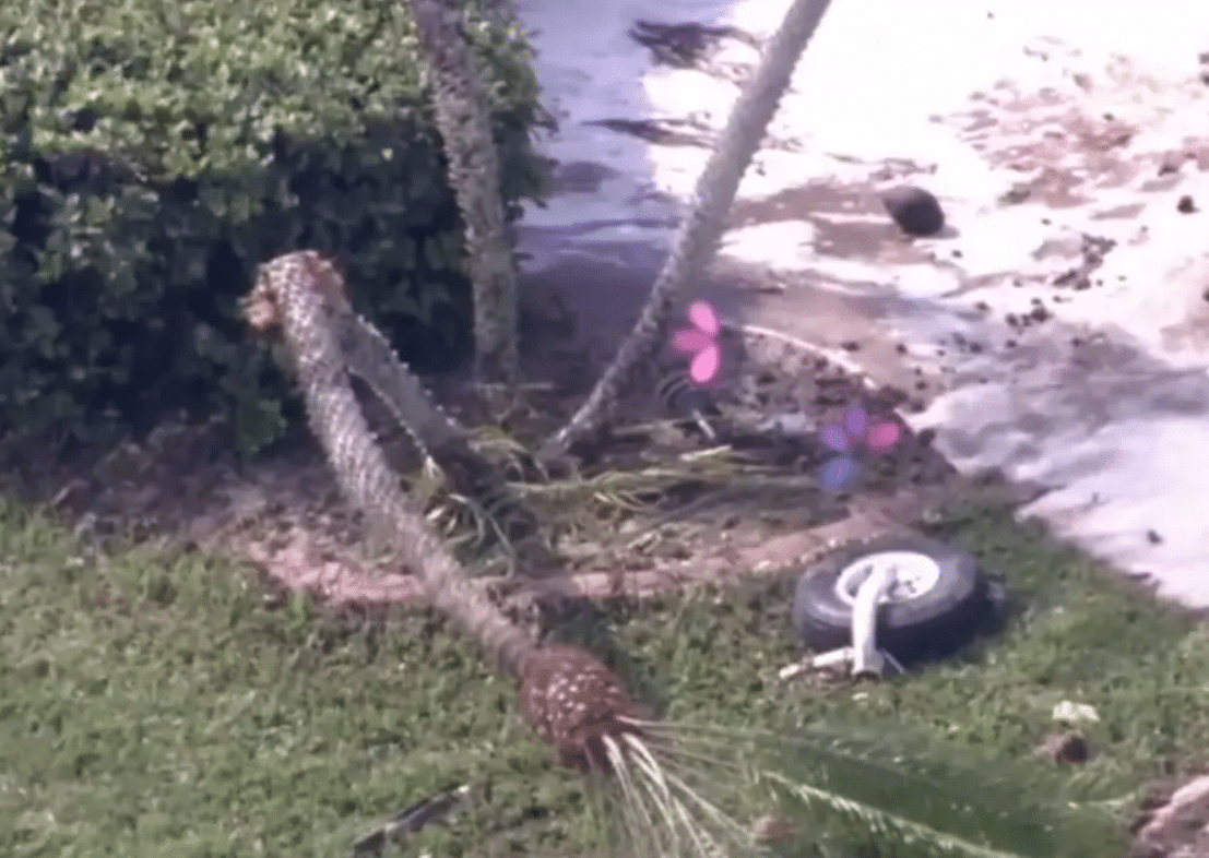 Tragic Plane Crash in Florida Claims Two Lives