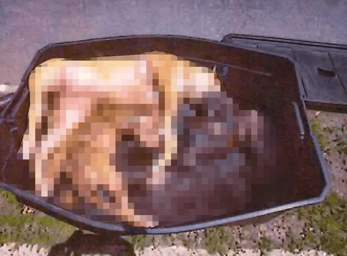 Tub With 7 Dead Dogs Left on Street