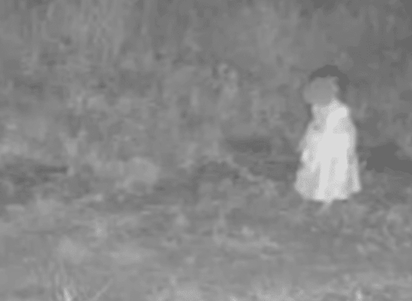 Toddler Found Wandering Alone in Woods, Mother Arrested