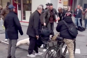 Infant in Stroller Attacked by Dog