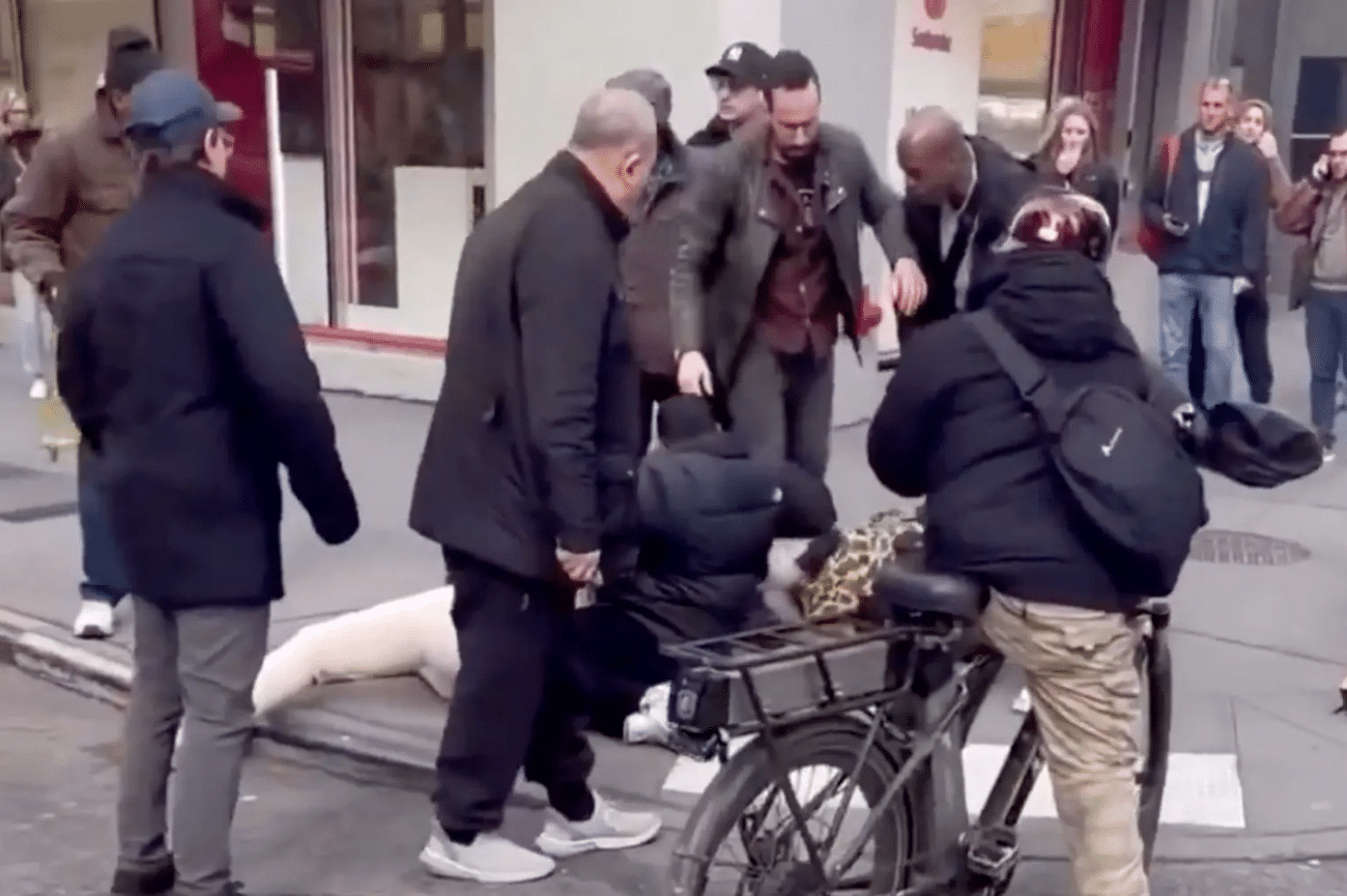 Infant in Stroller Attacked by Dog