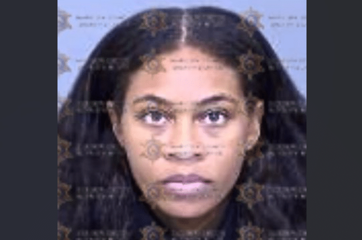 Woman Stabbed 12-Plus Times on Train