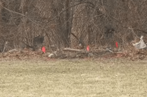 Two Young Girls Found Dead in Suitcases