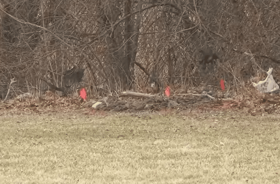 Two Young Girls Found Dead in Suitcases