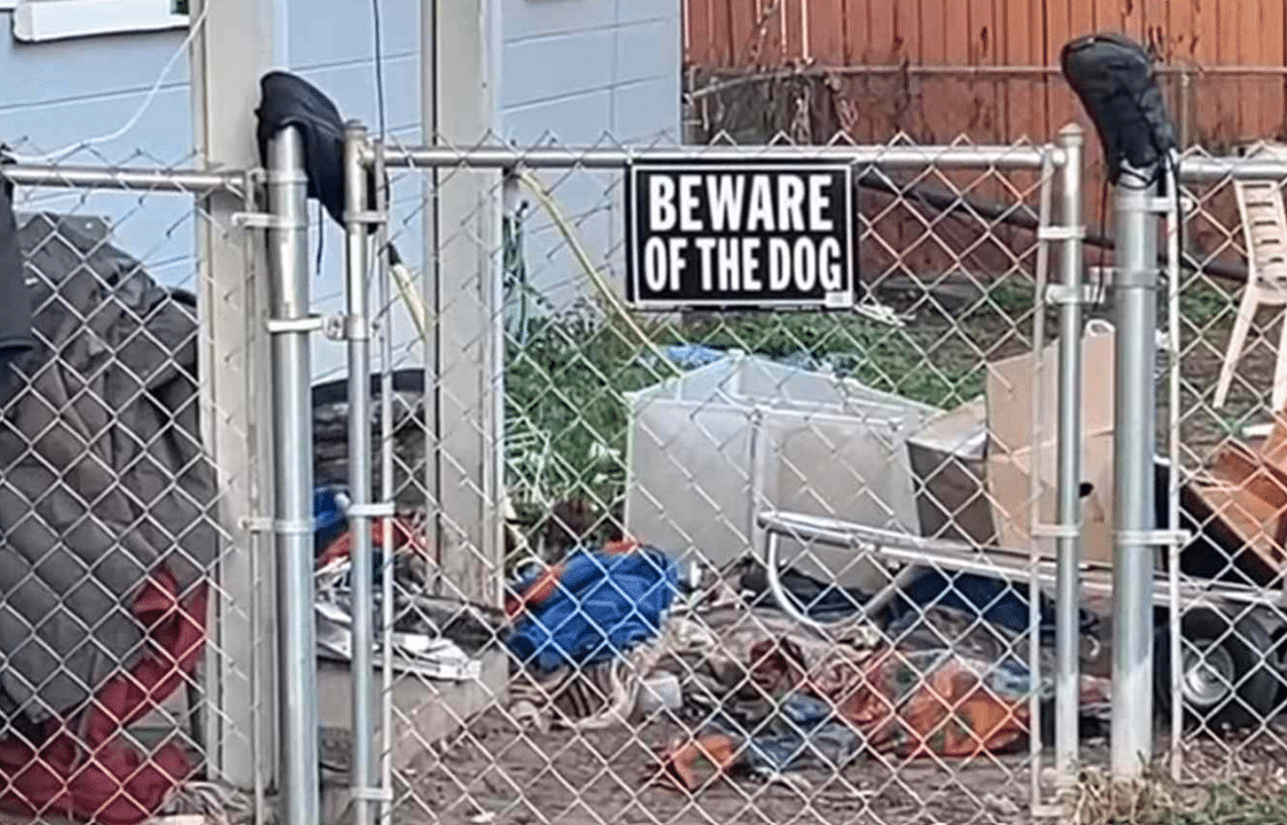 Woman Mauled by Seven Dogs Outside Home