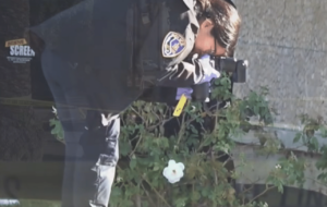 Two Found Dead Steps From Courthouse