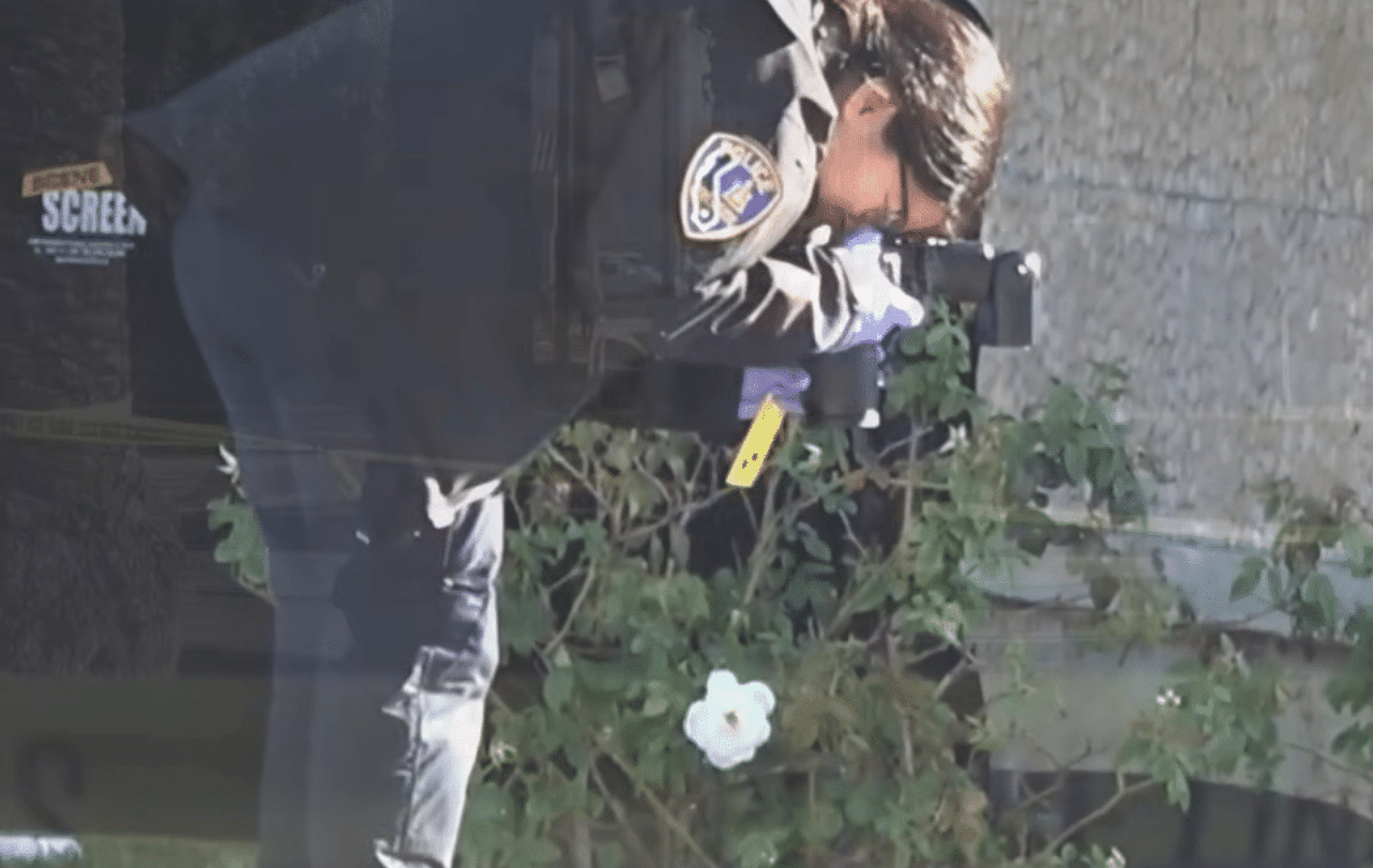 Two Found Dead Steps From Courthouse