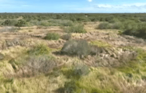 Man Arrested After Human Remains Found in Two Suitcases