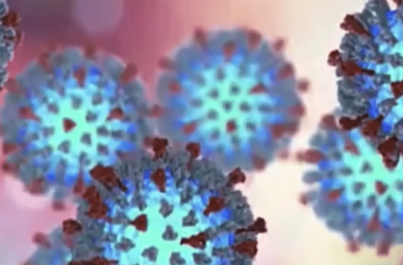 World's Most Contagious Disease Continues to Spread Across California