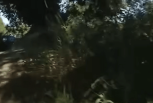 Human Skull Found During Easter Egg Hunt in Park