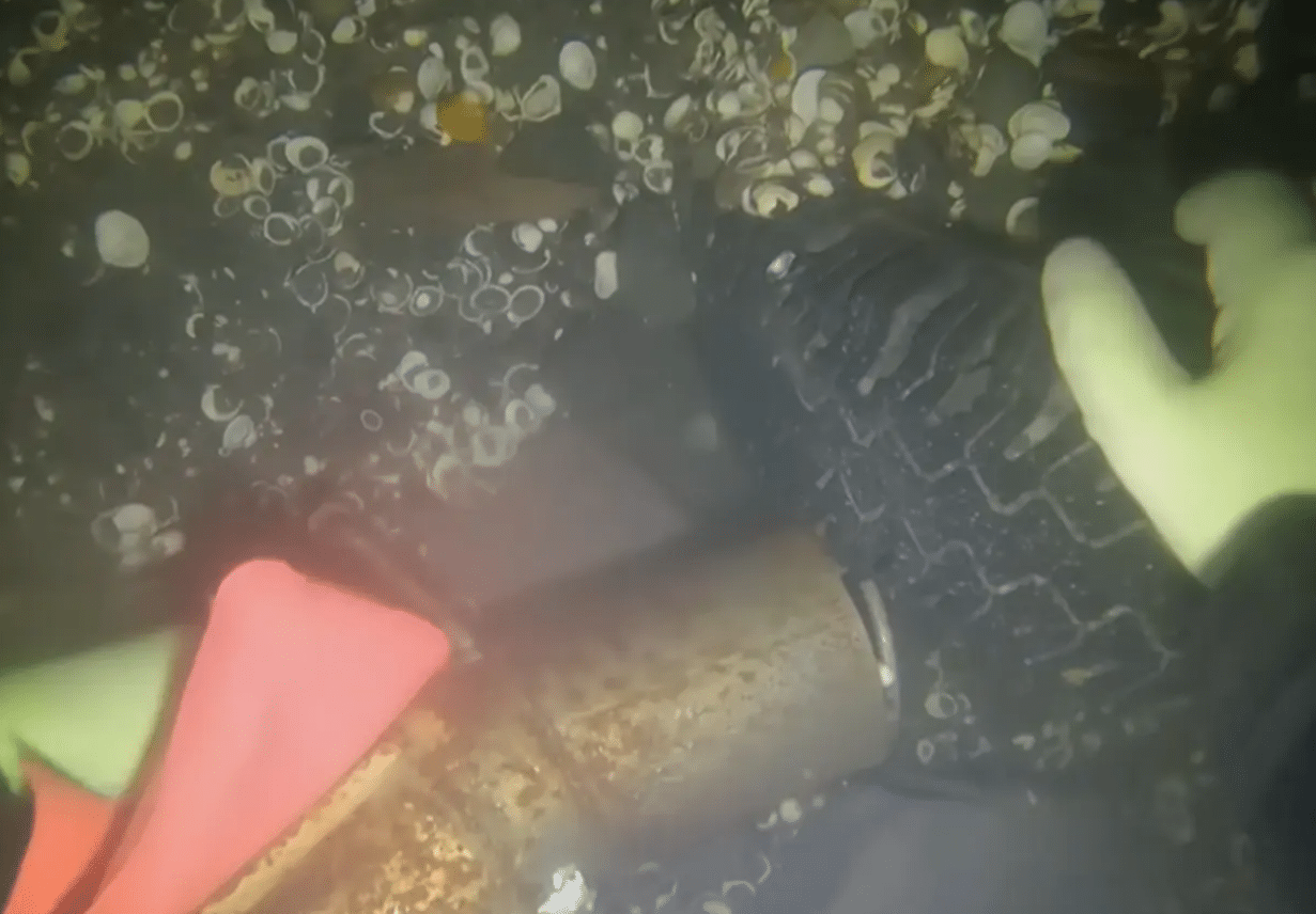 Missing Family Found Nearly 68 Years Later