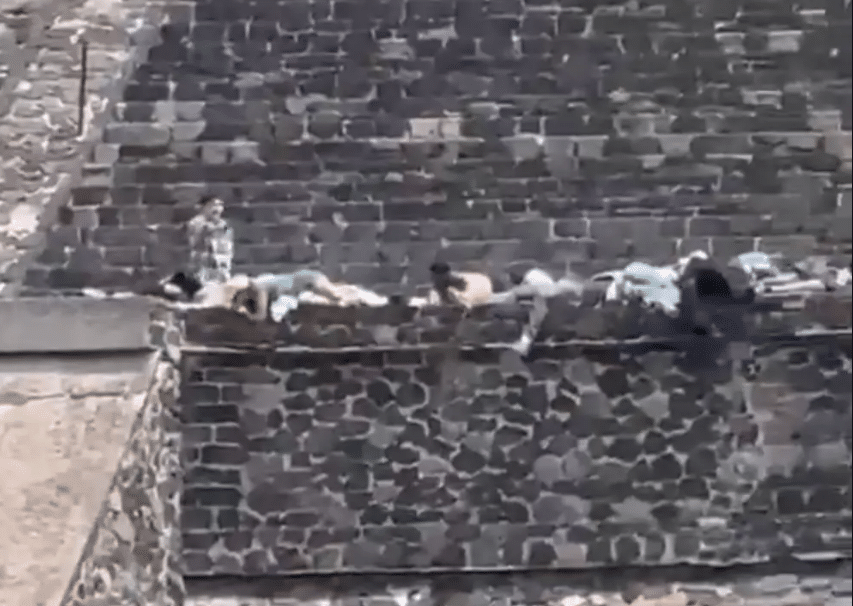 Gunman Kills Tourist, Injures 13 More