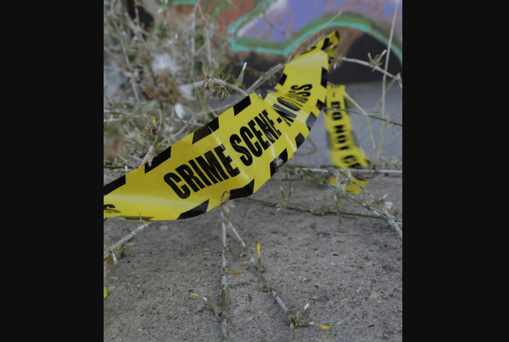 Woman Dies in Brutal Dog Mauling Outside Home
