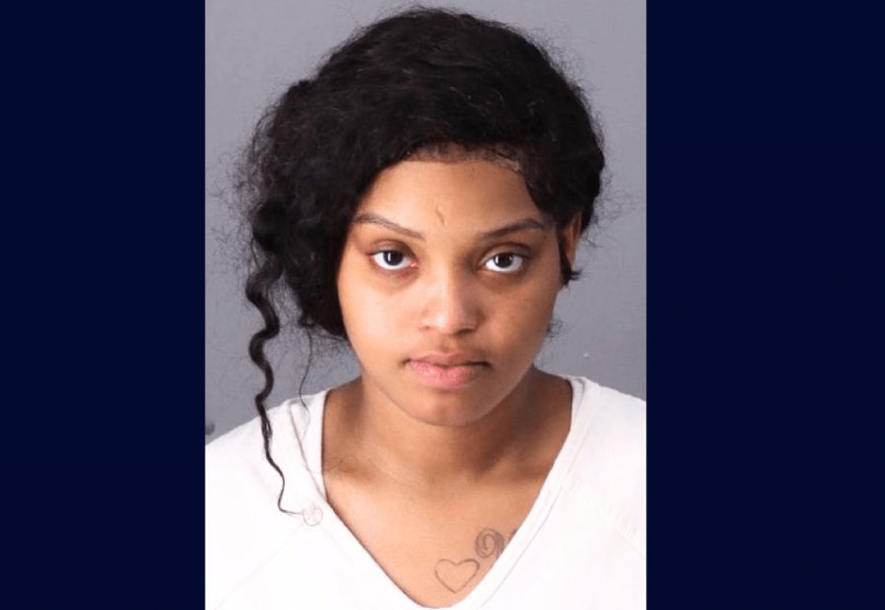 Mother Shot While Holding Toddler by Pregnant Woman