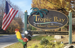 Tropic Bay Water Gardens Via Facebook