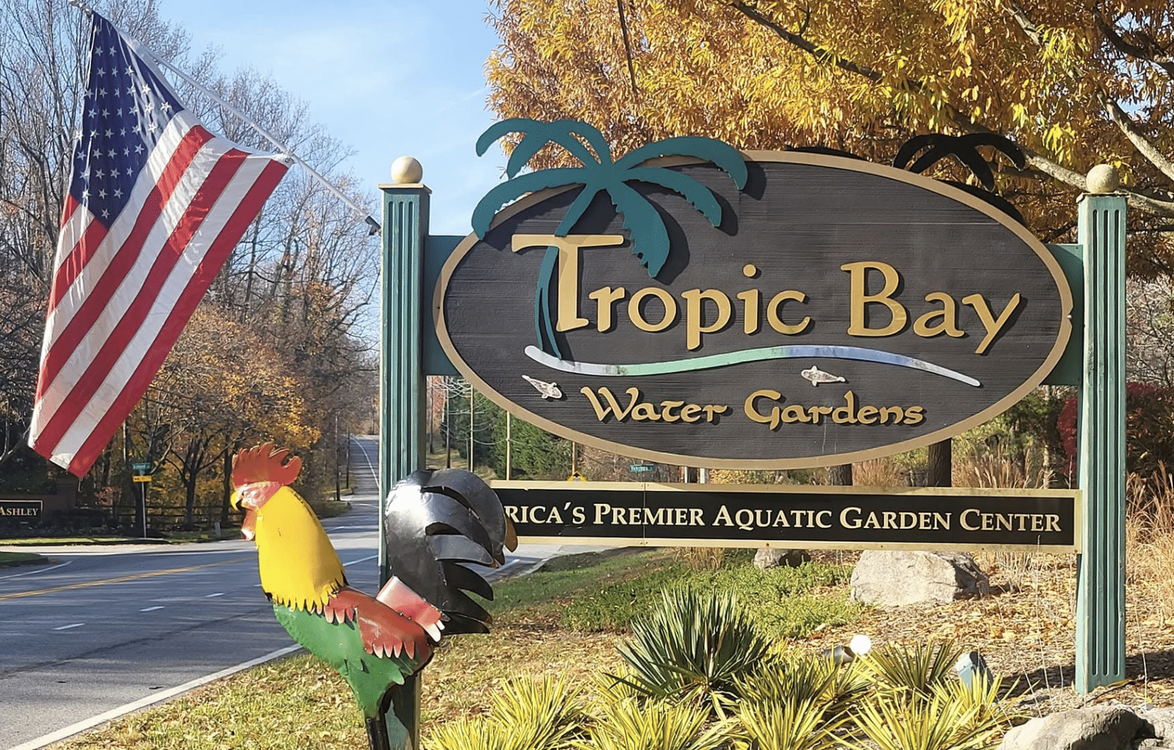 Tropic Bay Water Gardens Via Facebook