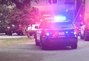 Woman Stabbed 58 Times Moments After Returning Home