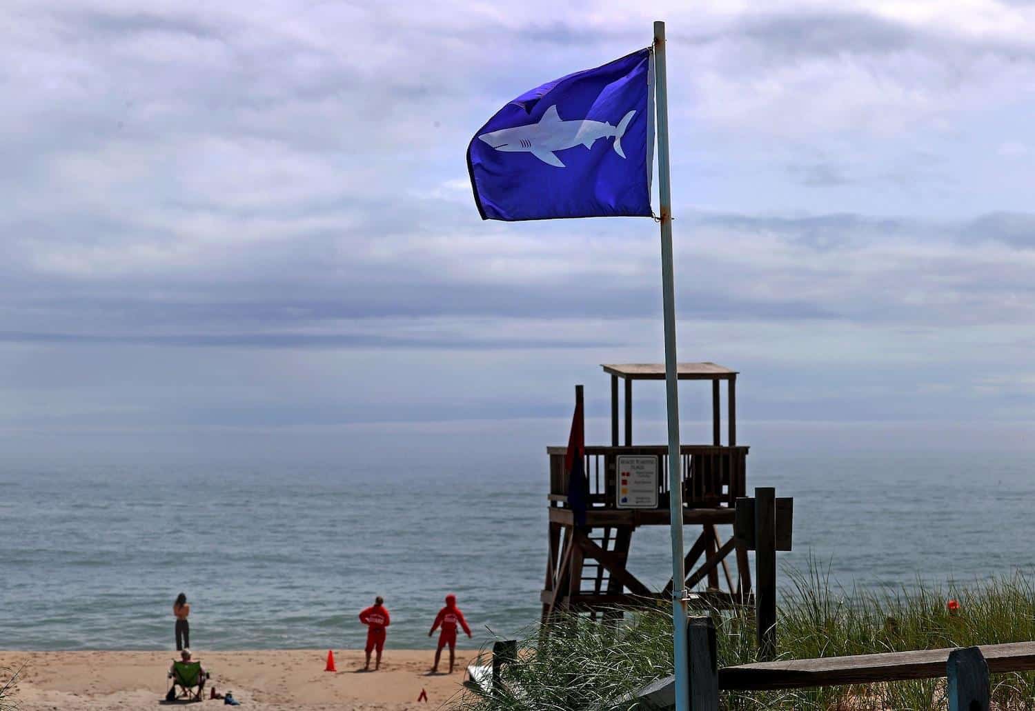 Shark Attacks Man Protecting His Pregnant Fiancée