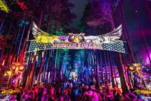 Electric Festival Via AI IMage
