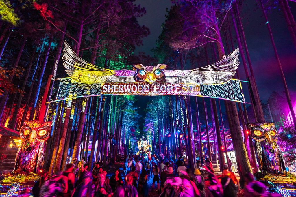 Electric Festival Via AI IMage