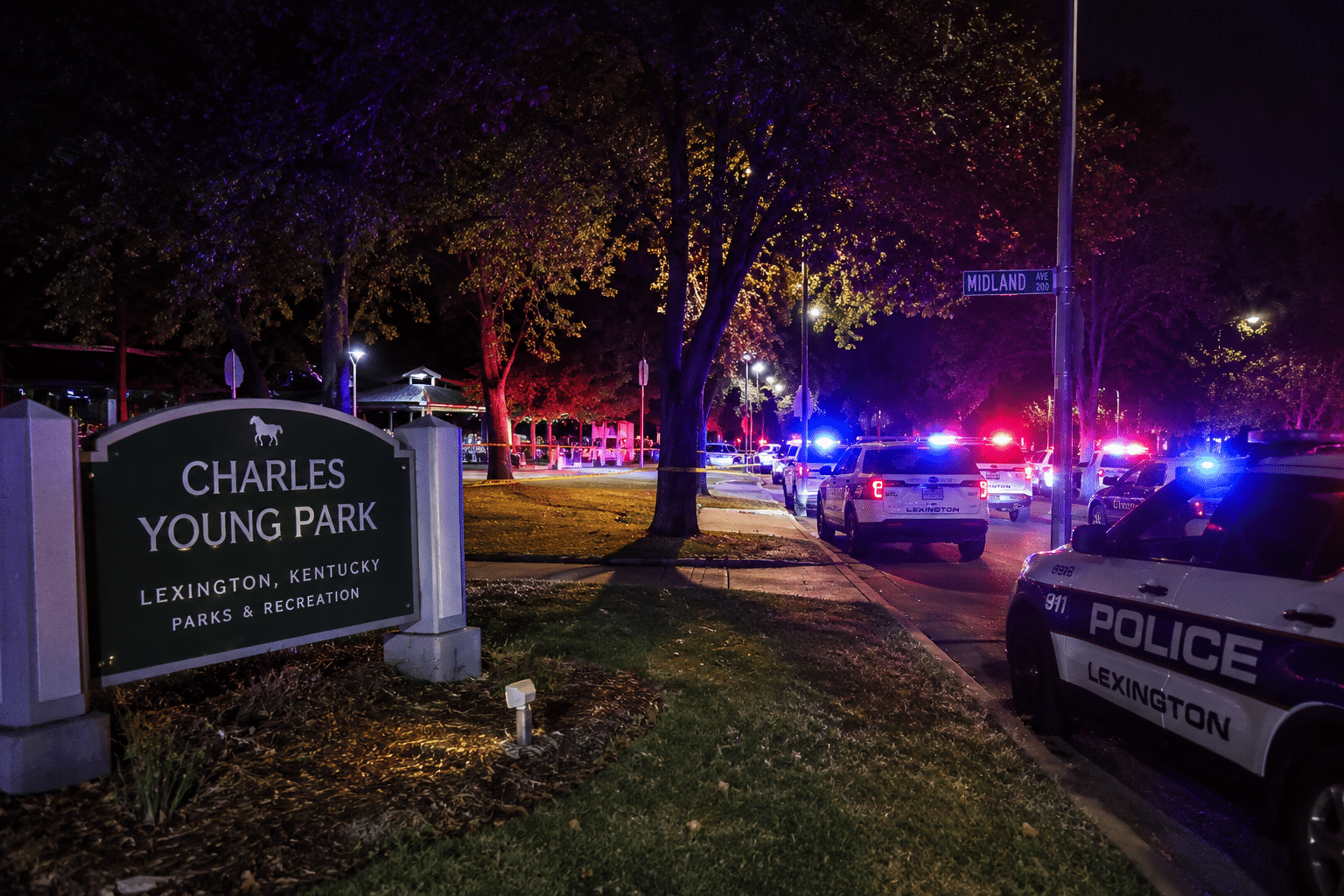 Crime Scene Via AI IMage
