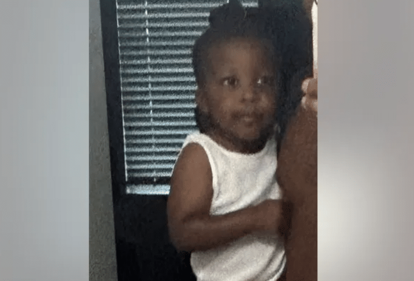 Missing Toddler Found Dead in Woods