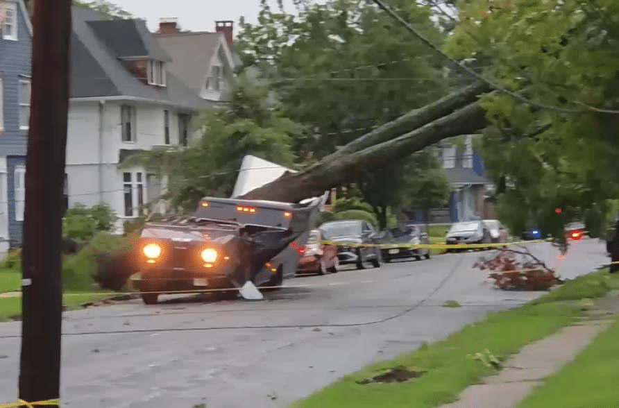 Tree Crushes Amazon Truck With Worker Trapped Inside