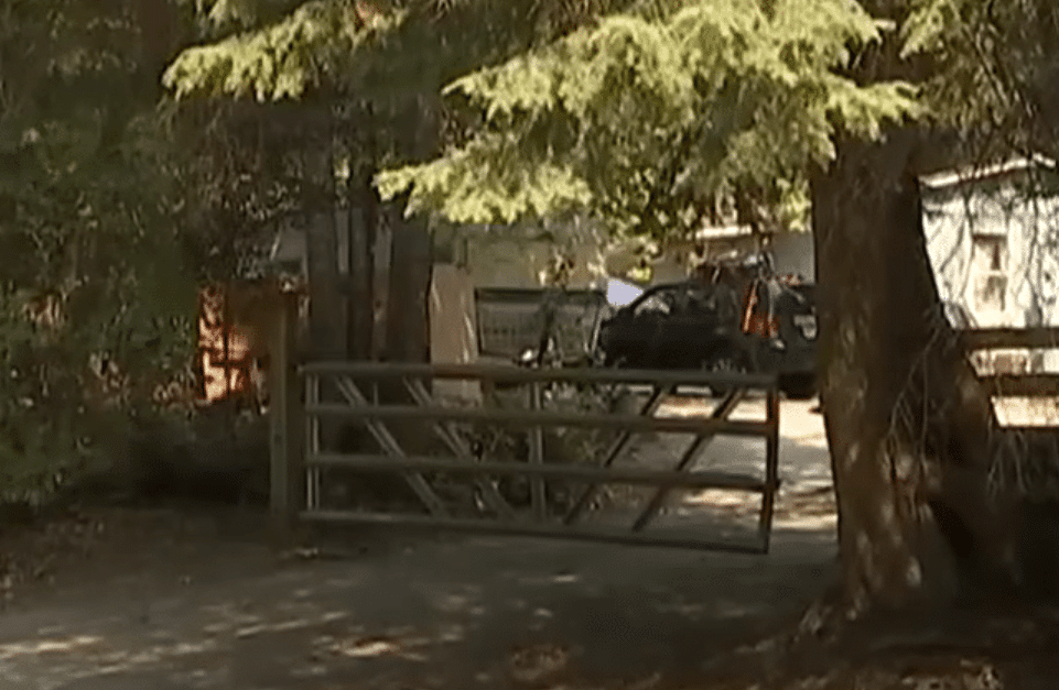 5-Year-Old Found Dead After Suspected Animal Attack