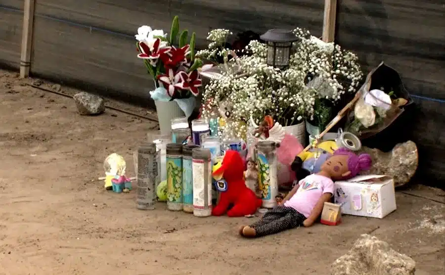Newborn Found Dead Along Roadside