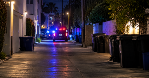 Police in Alley Way Via AI Image